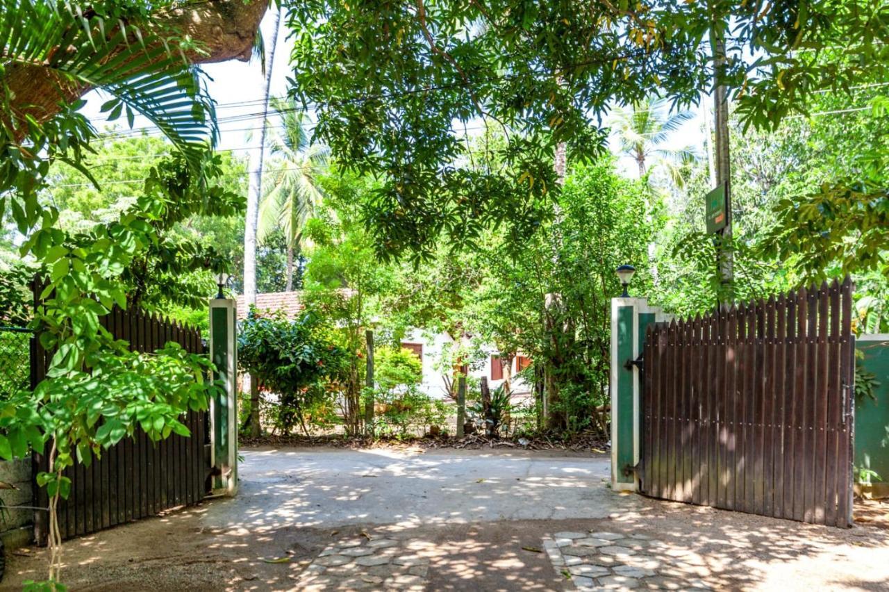 Julia Safari Inn Tissamaharama Exterior photo